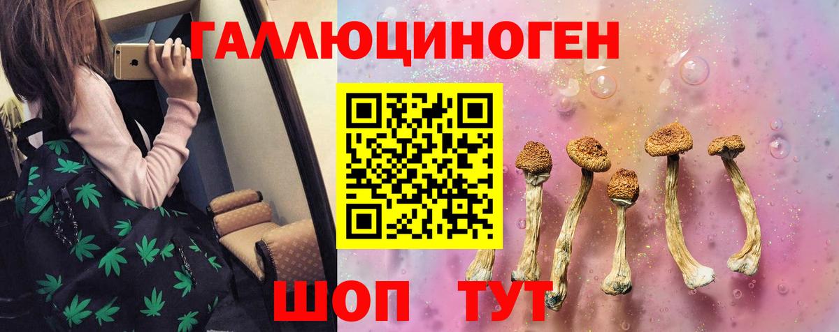 Галлюциногенные грибы GOLDEN TEACHER  Вход с VPN  Жигулёвск 