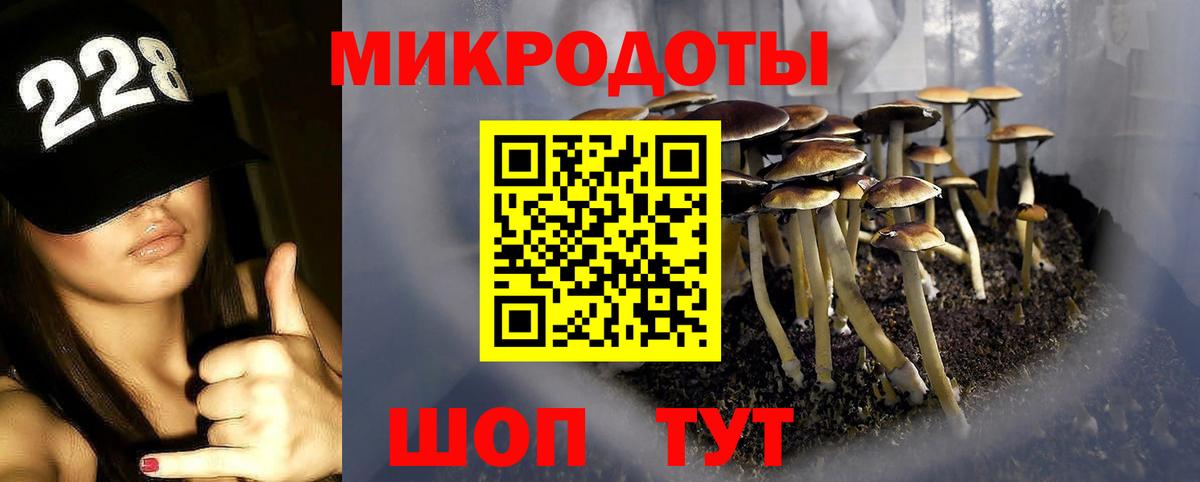 Галлюциногенные грибы MAGIC MUSHROOMS Жигулёвск